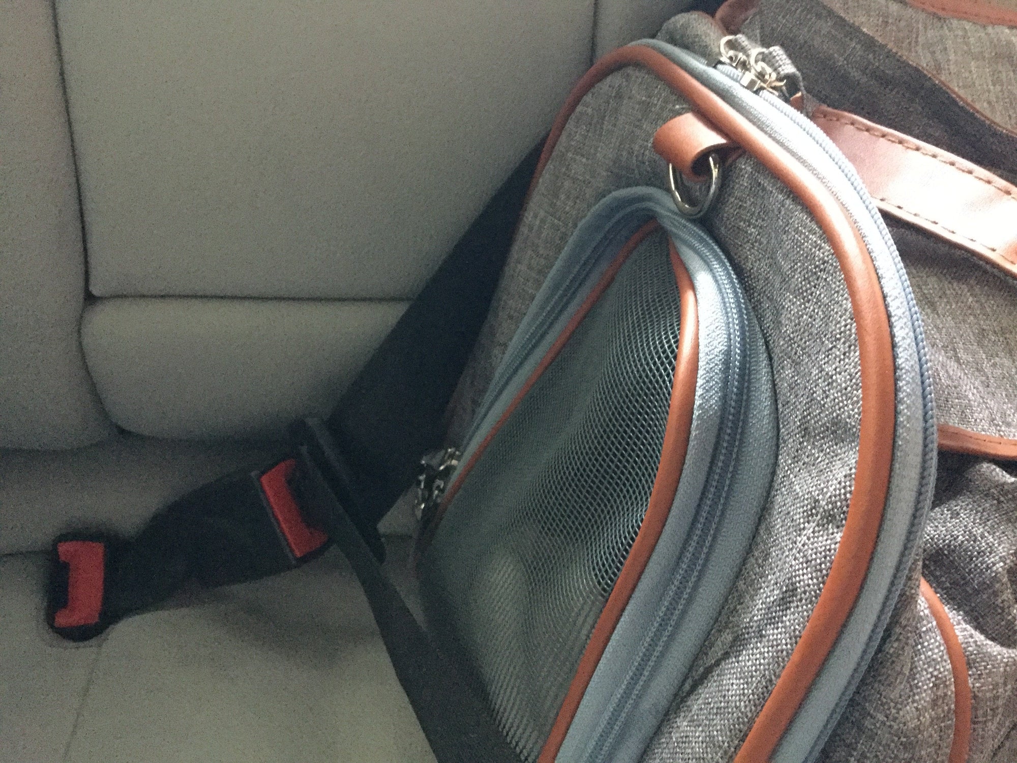 Mr. Peanuts Gold Series Big Apple XL Size Airline Compliant Double Expandable Pet Carrier 