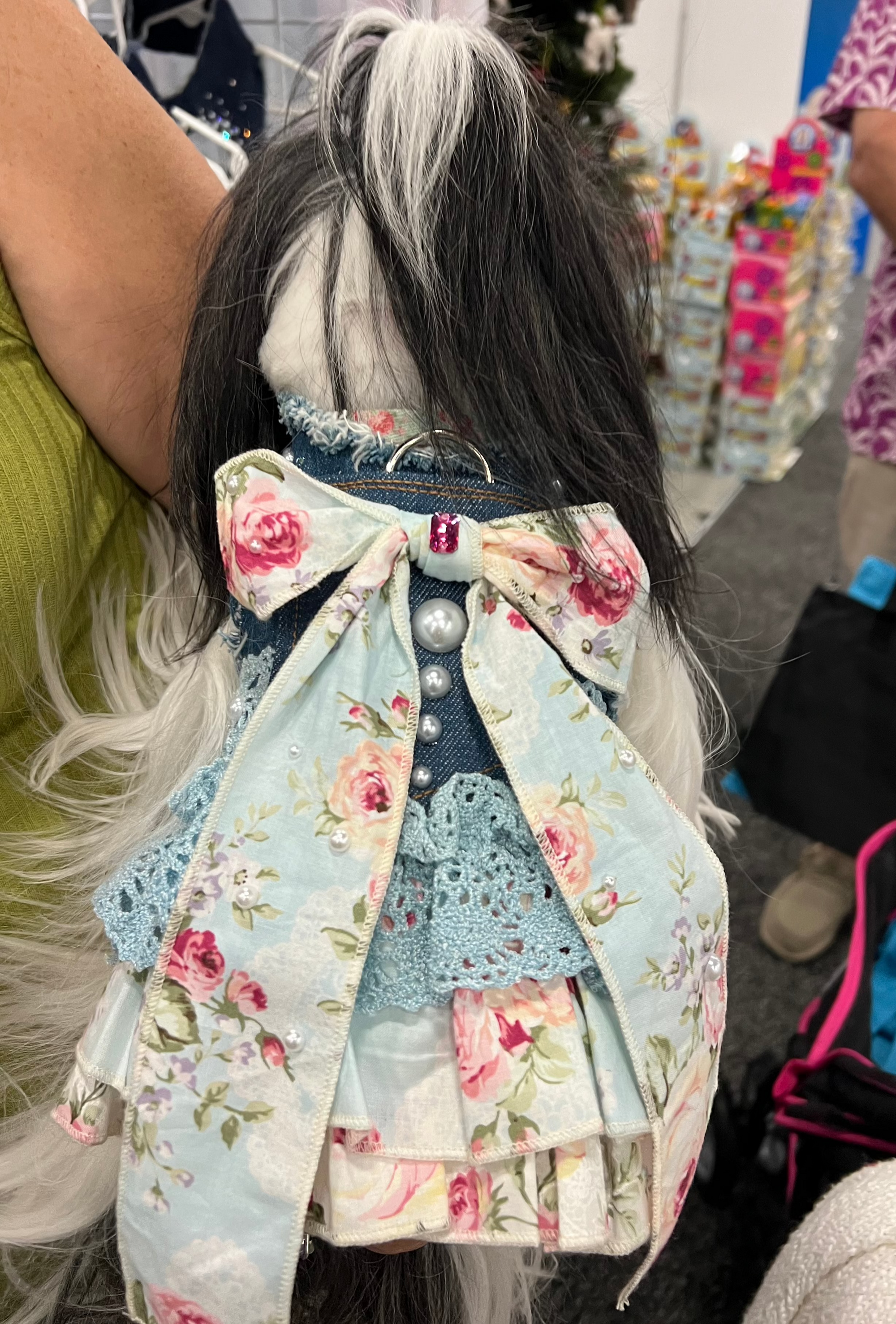 Heads or Tails Pup LovePackPuppy Denim Dog Dress