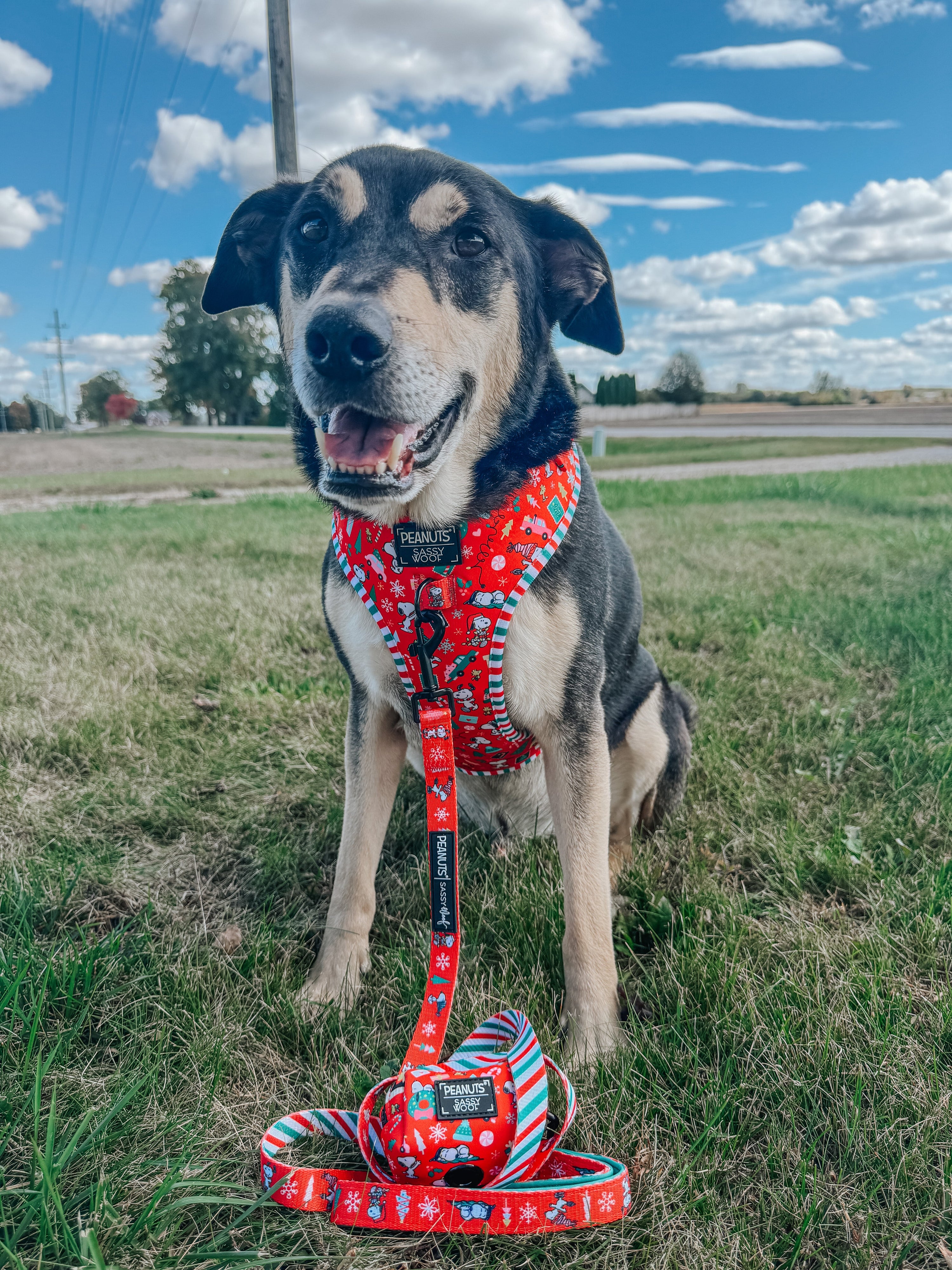 Dog Leash - Peanuts™ Beagle Bells