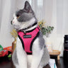 Mr. Peanuts PurrTrek Reflective Cat Harness with Matching Leash
