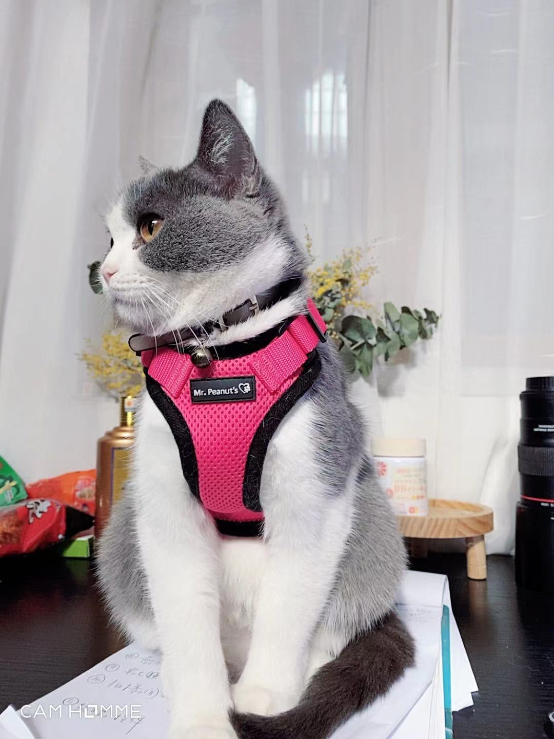 Mr. Peanuts PurrTrek Reflective Cat Harness with Matching Leash 