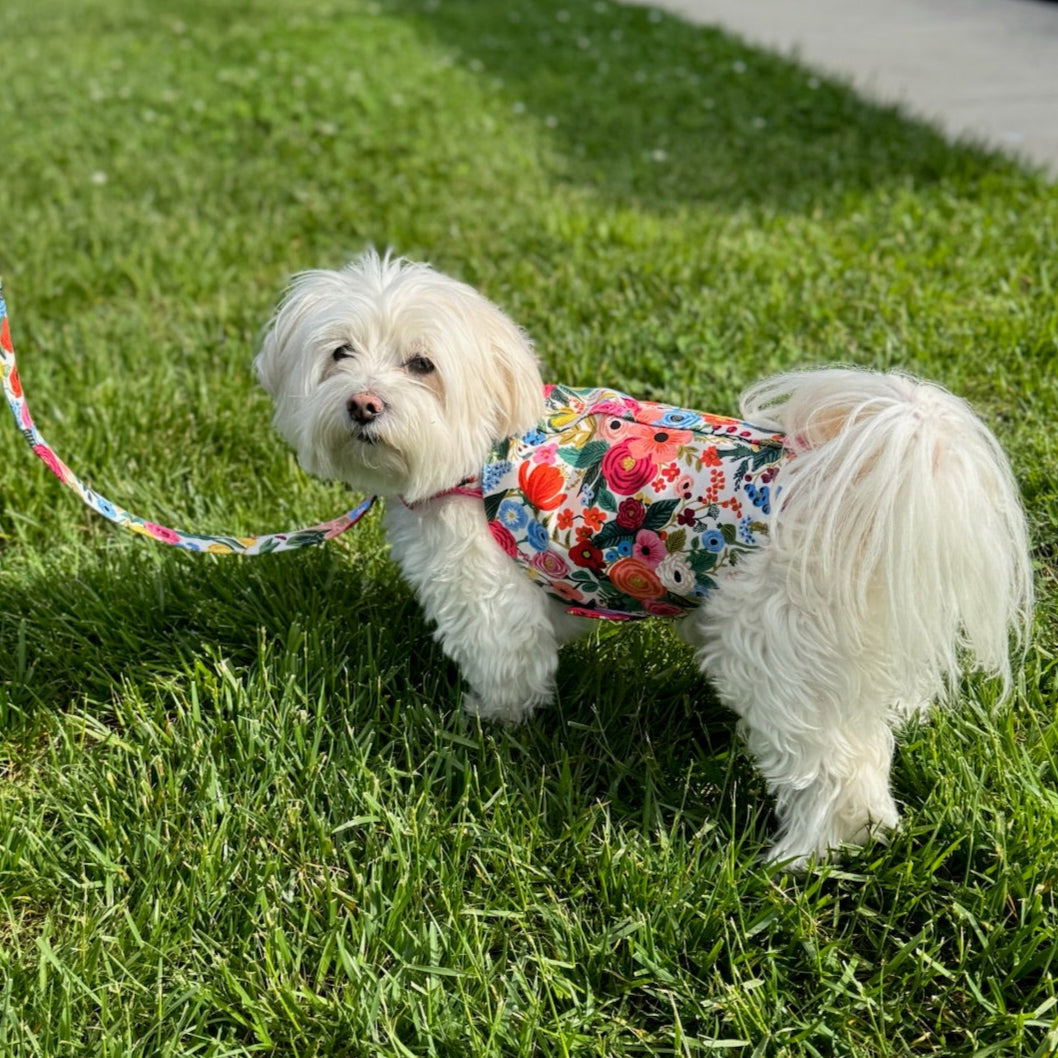 Floral Burst Harness