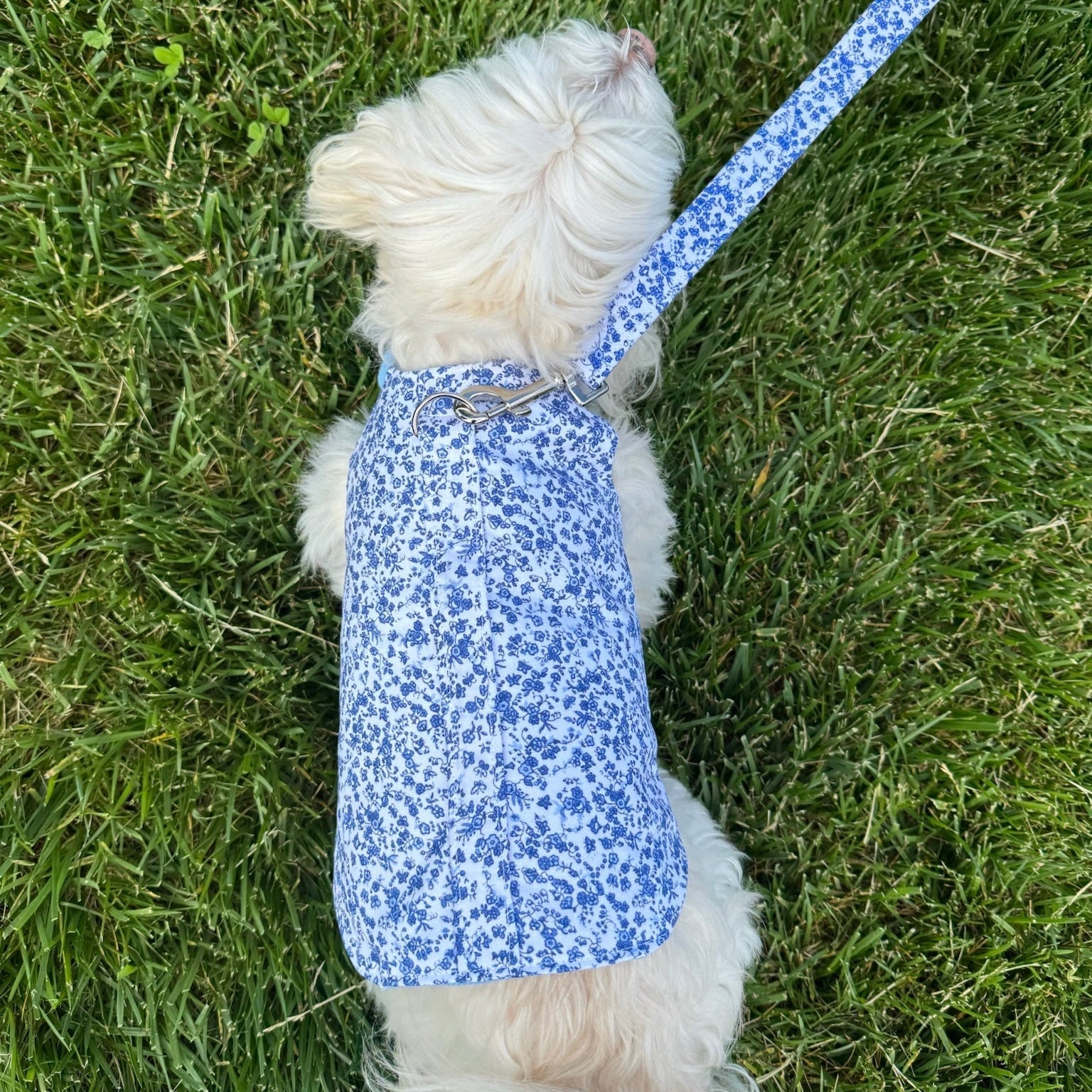 Blue Floral Toile Harness