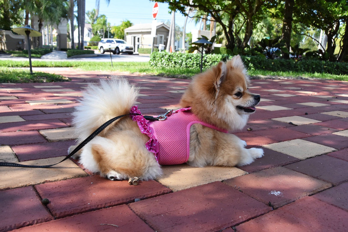 Parisian Pet Polka Dot Harness Dress-Pink