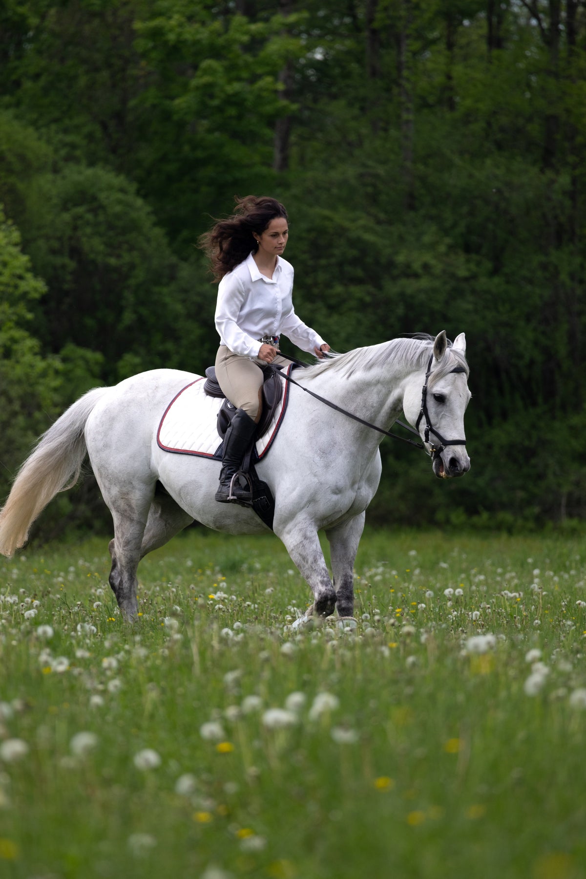 San Eligius white quilted jump saddle pad with red and navy crocodile piping on horse under saddle
