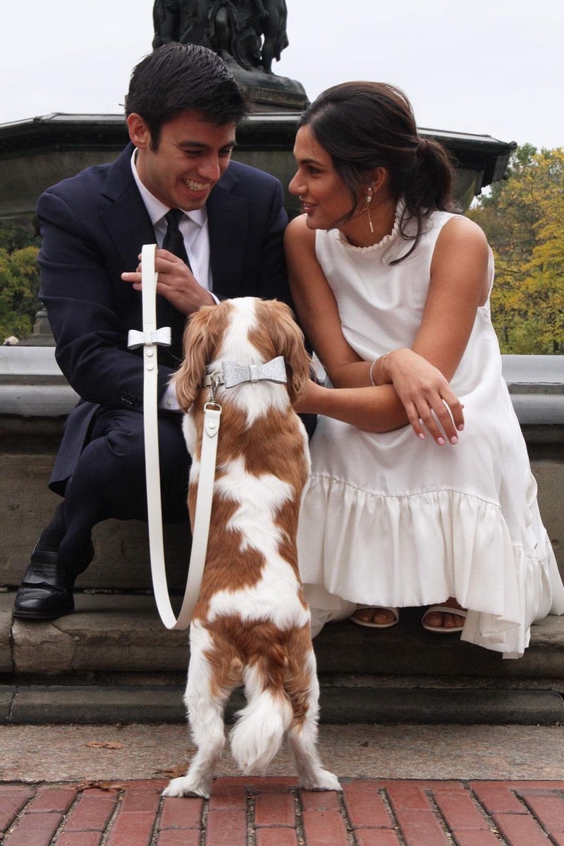 Ben Leash 