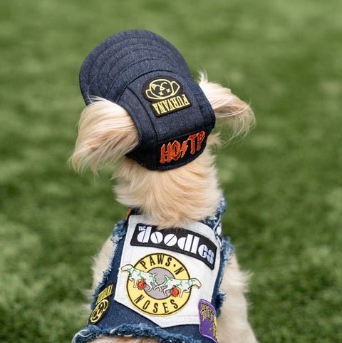Heads or Tails Pup Ruff & Roll Dog Hat