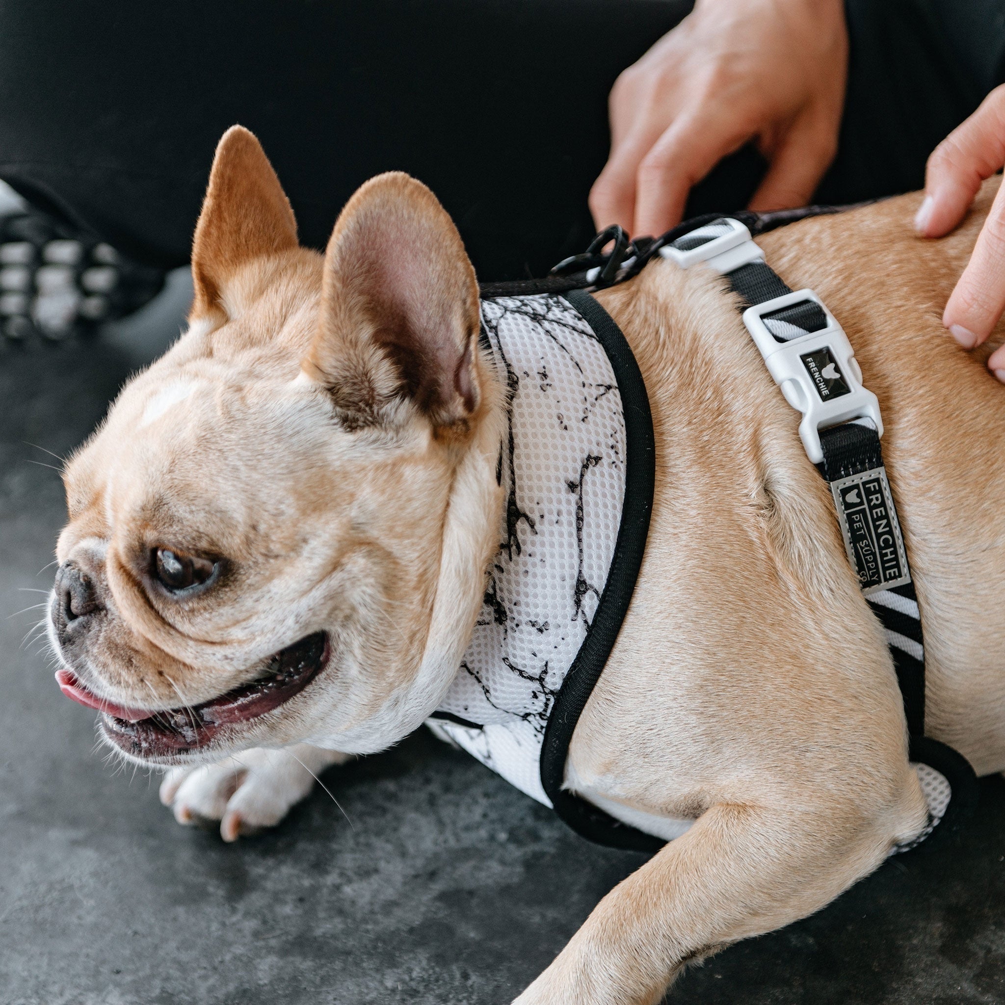 Frenchie Duo Reversible Harness - Black Marble - HT Animal Supply
