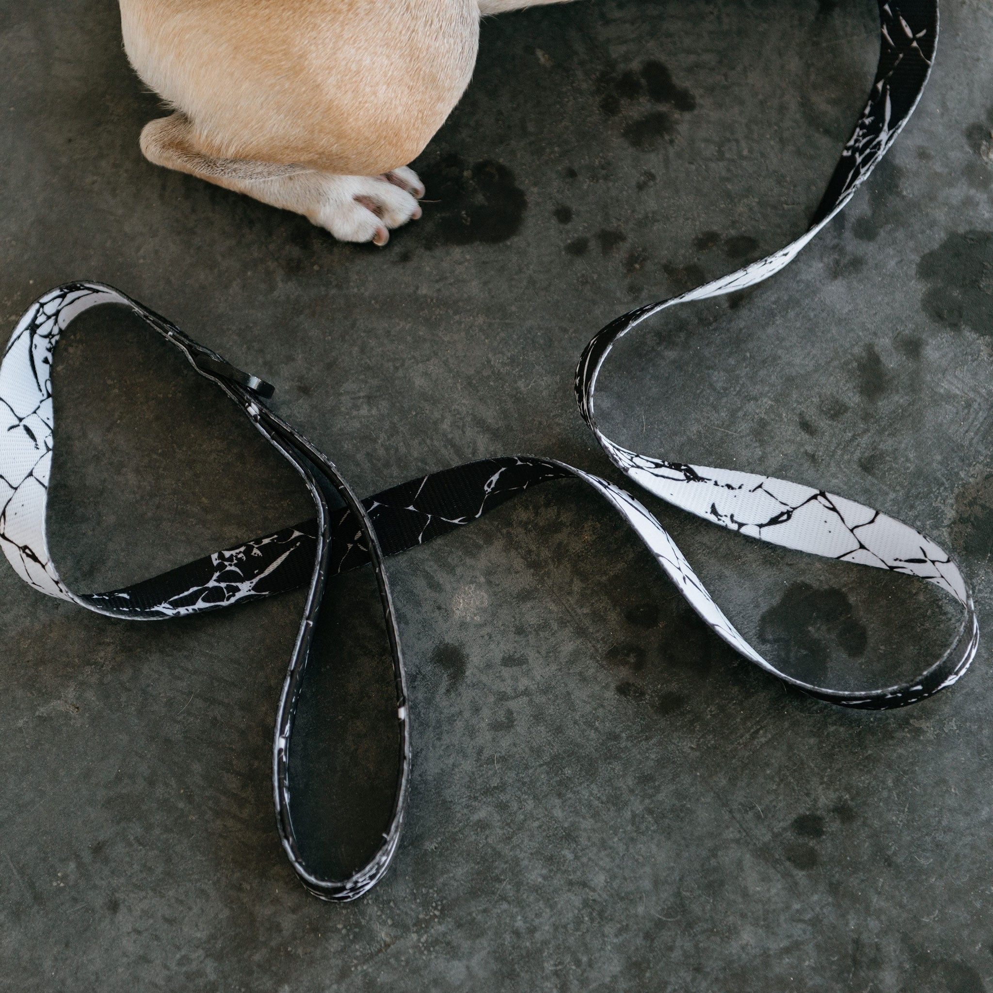 Frenchie Comfort Leash - Black Marble