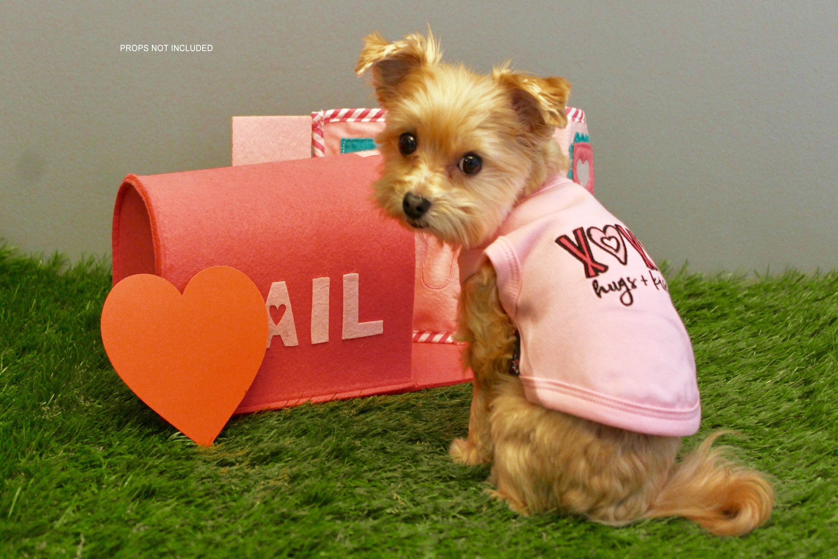 Parisian Pet XOXO Soft Cotton Slogan Dog T-Shirt  Trendy and Comfortable Outfit for Small Dogs & Cats, Pink-Valentines Day