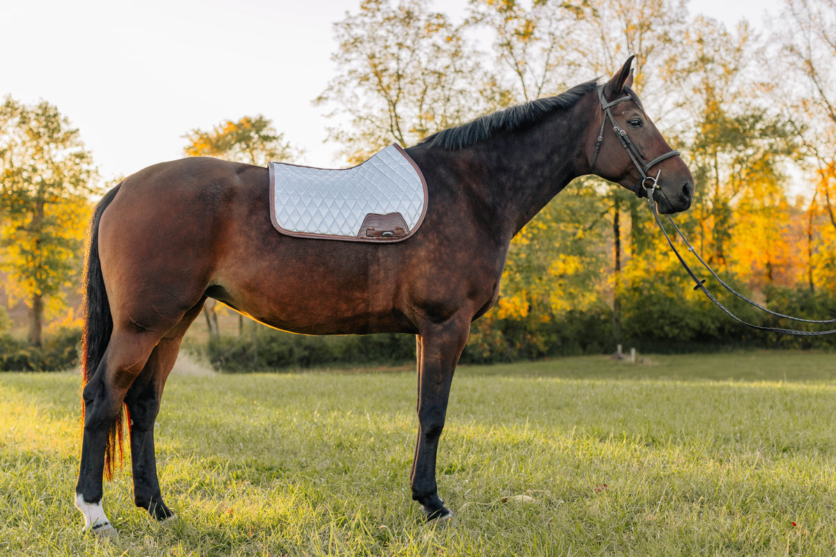 San Eligius chrome quilted jump saddle pad with brown crocodile piping, girth strap detail