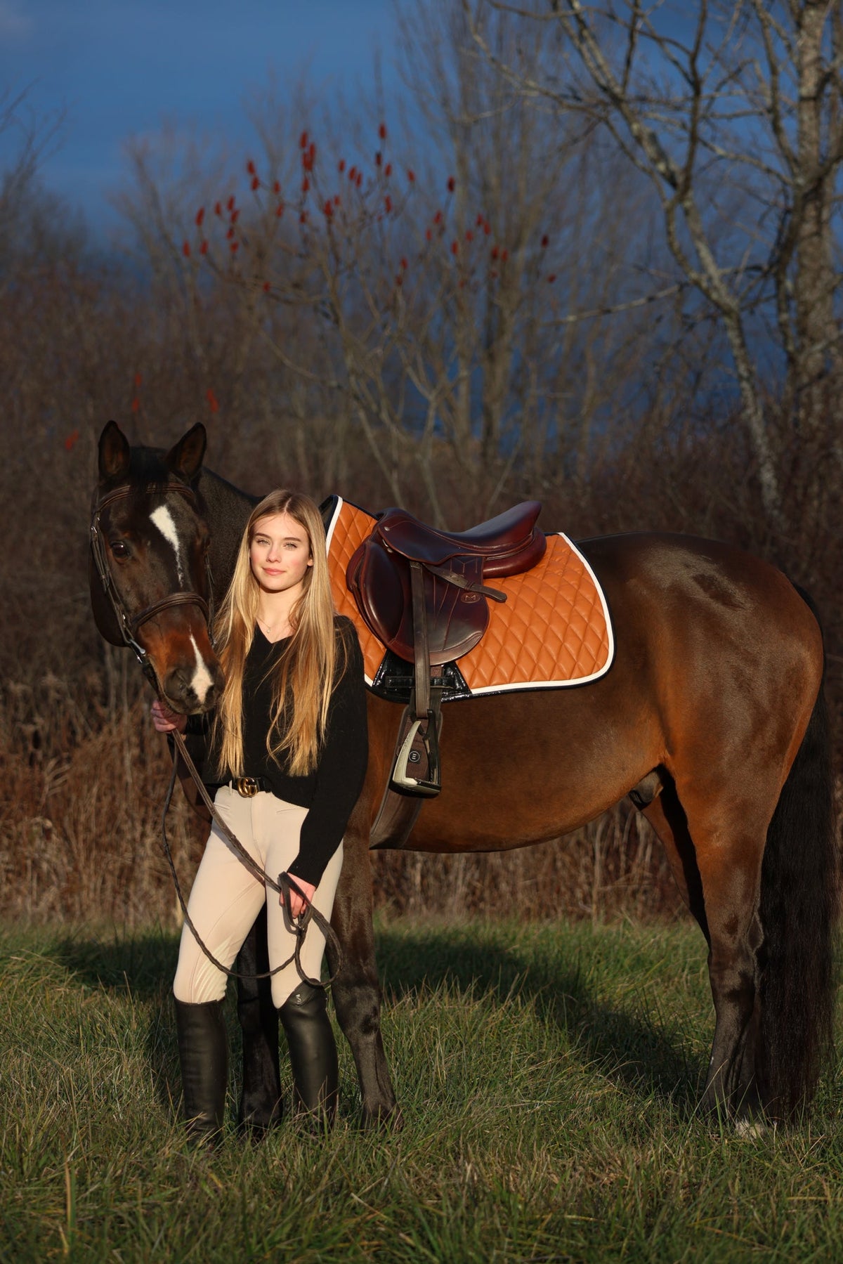San Eligius cognac quilted jump saddle pad with white and black crocodile piping on horse under saddle