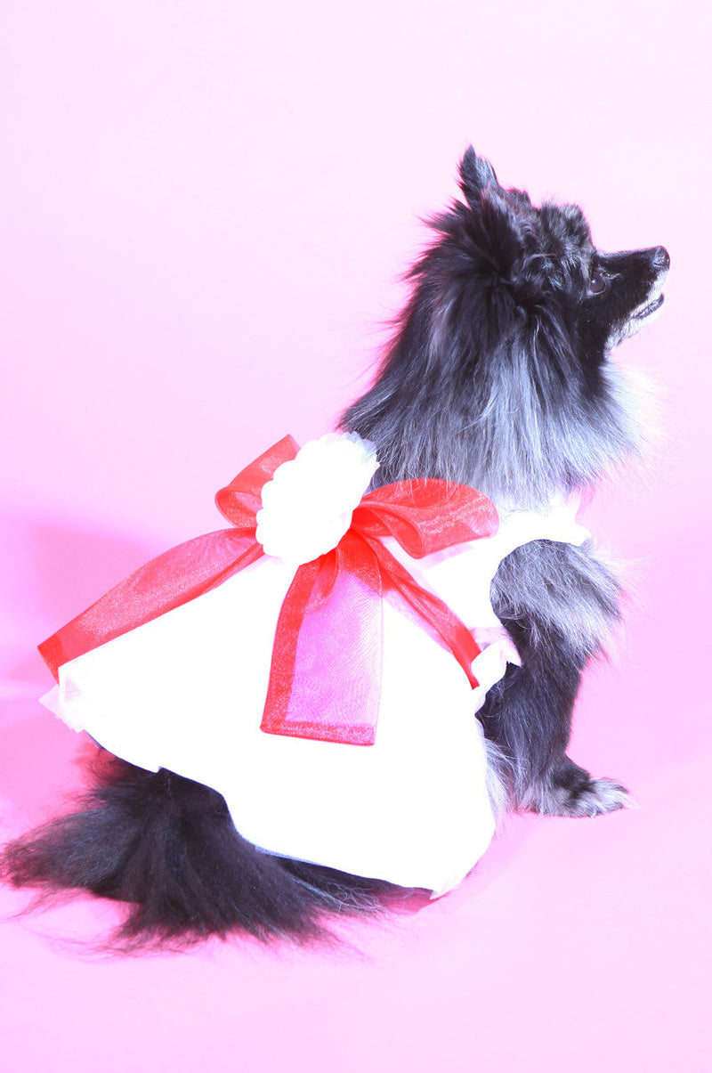 The Madeleine Harness Dog Dress with Red Sash