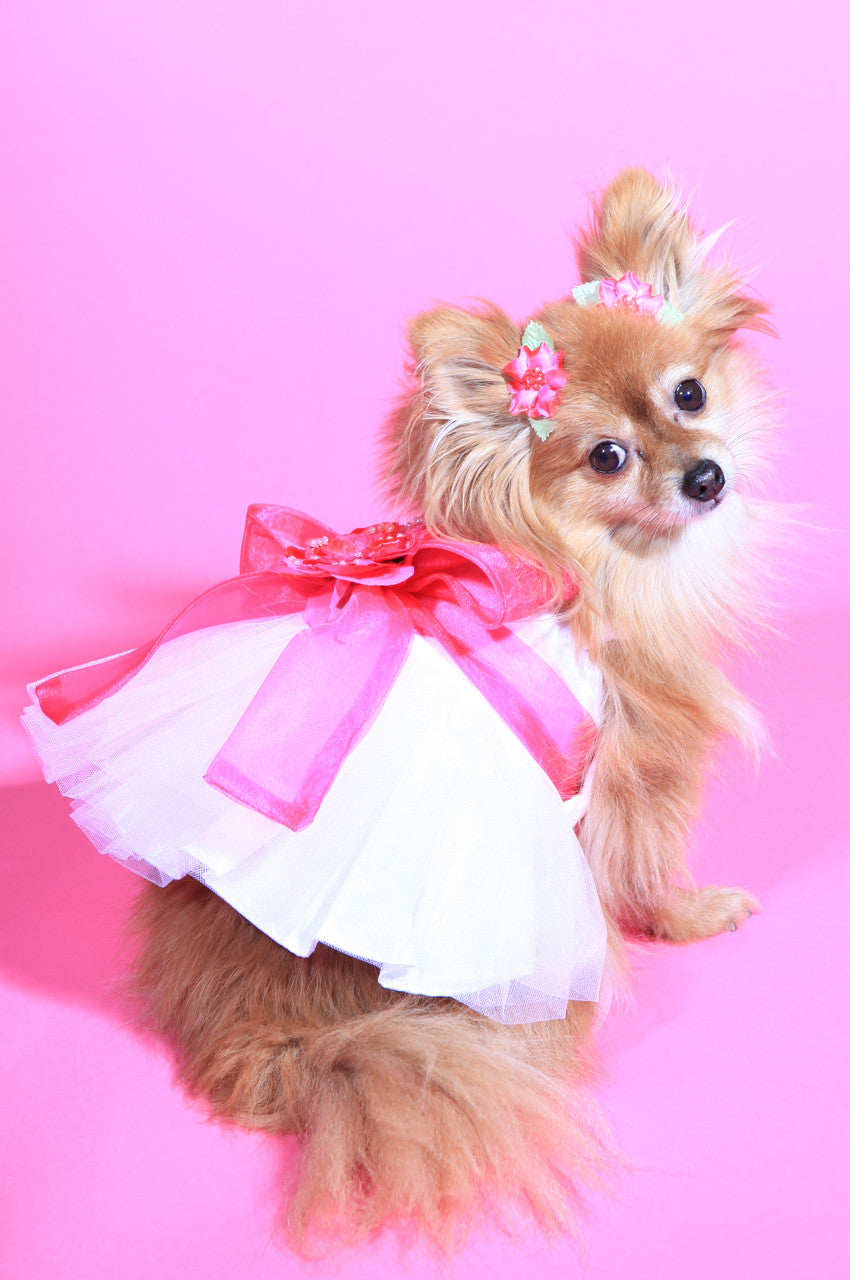 The Madeleine Dog Harness Dress with Hot Pink Sash