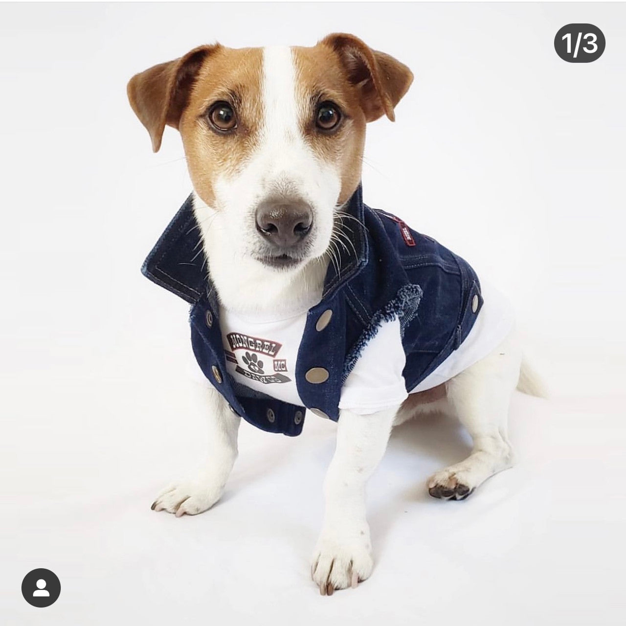 Mongrel Dawgs MC Denim Jacket