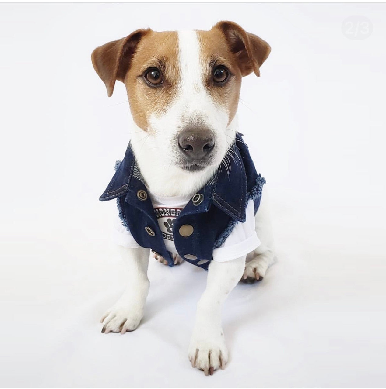 Mongrel Dawgs MC Denim Jacket