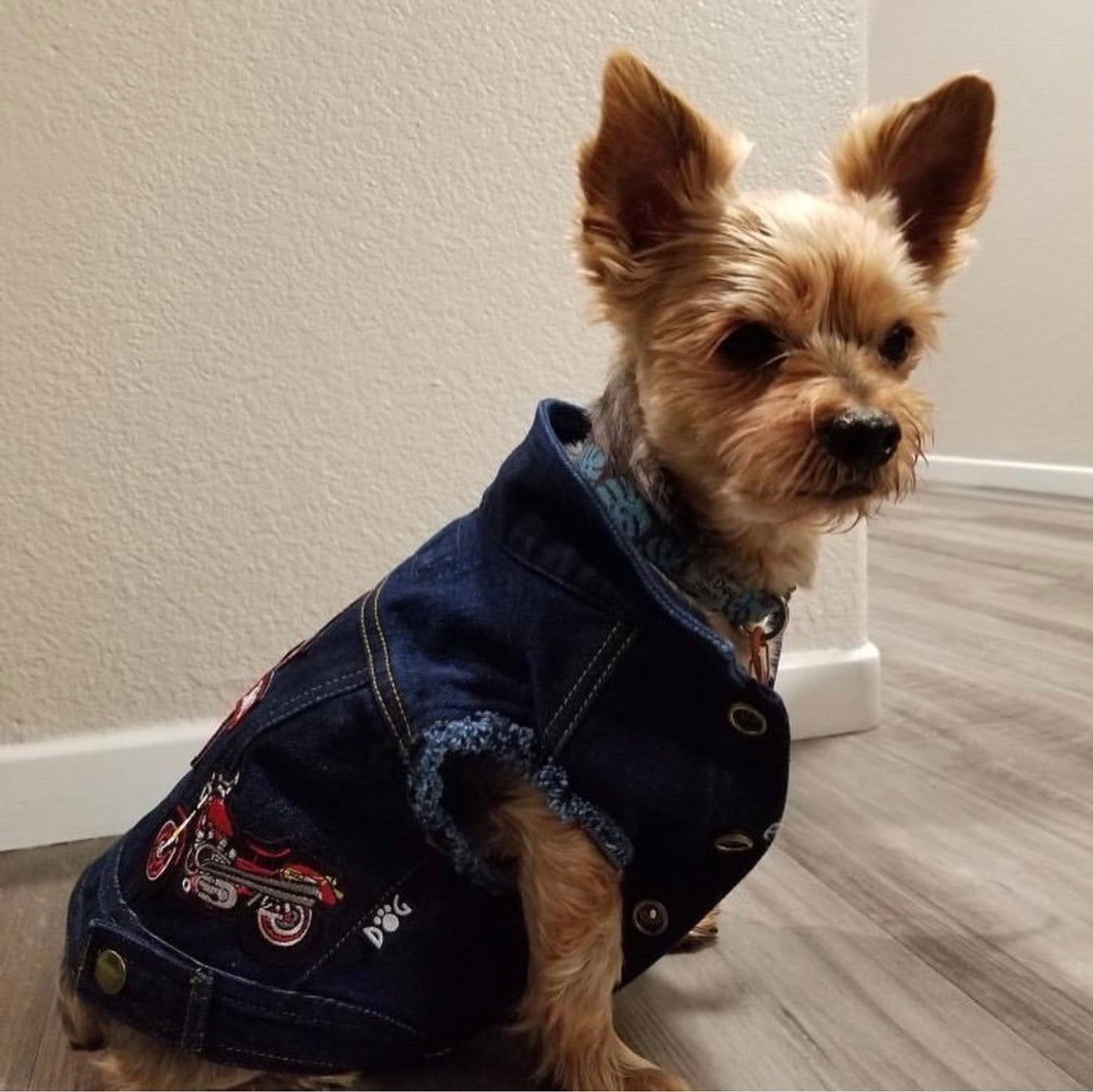 Mongrel Dawgs MC Denim Jacket