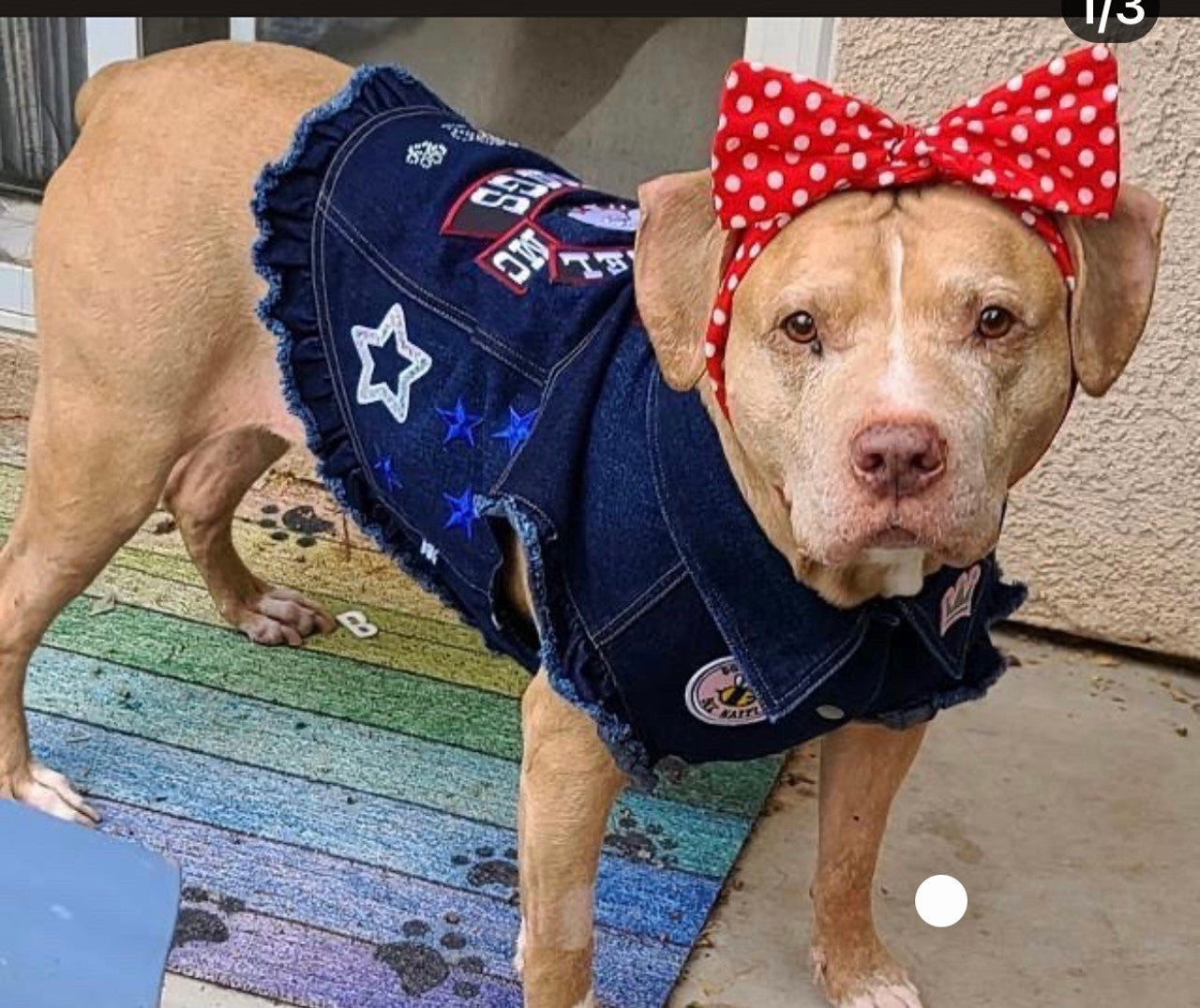 Mongrel Dawgs MC - Denim Jacket with Ruffles