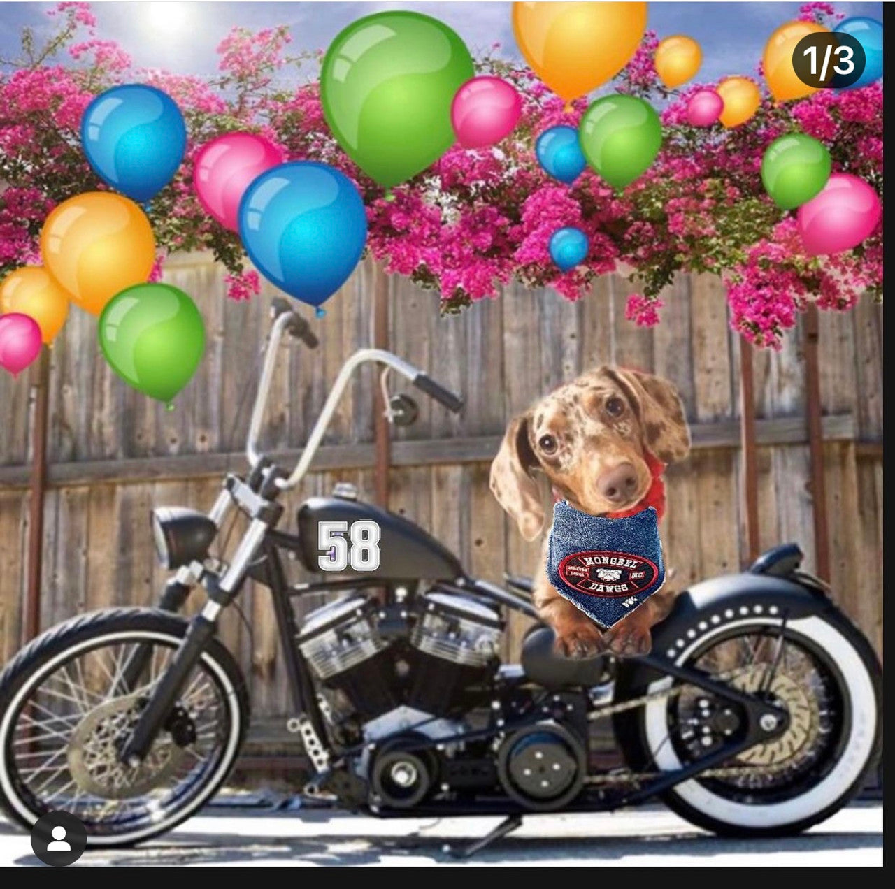 Mongrel Dawgs MC Logo Denim Bandanna