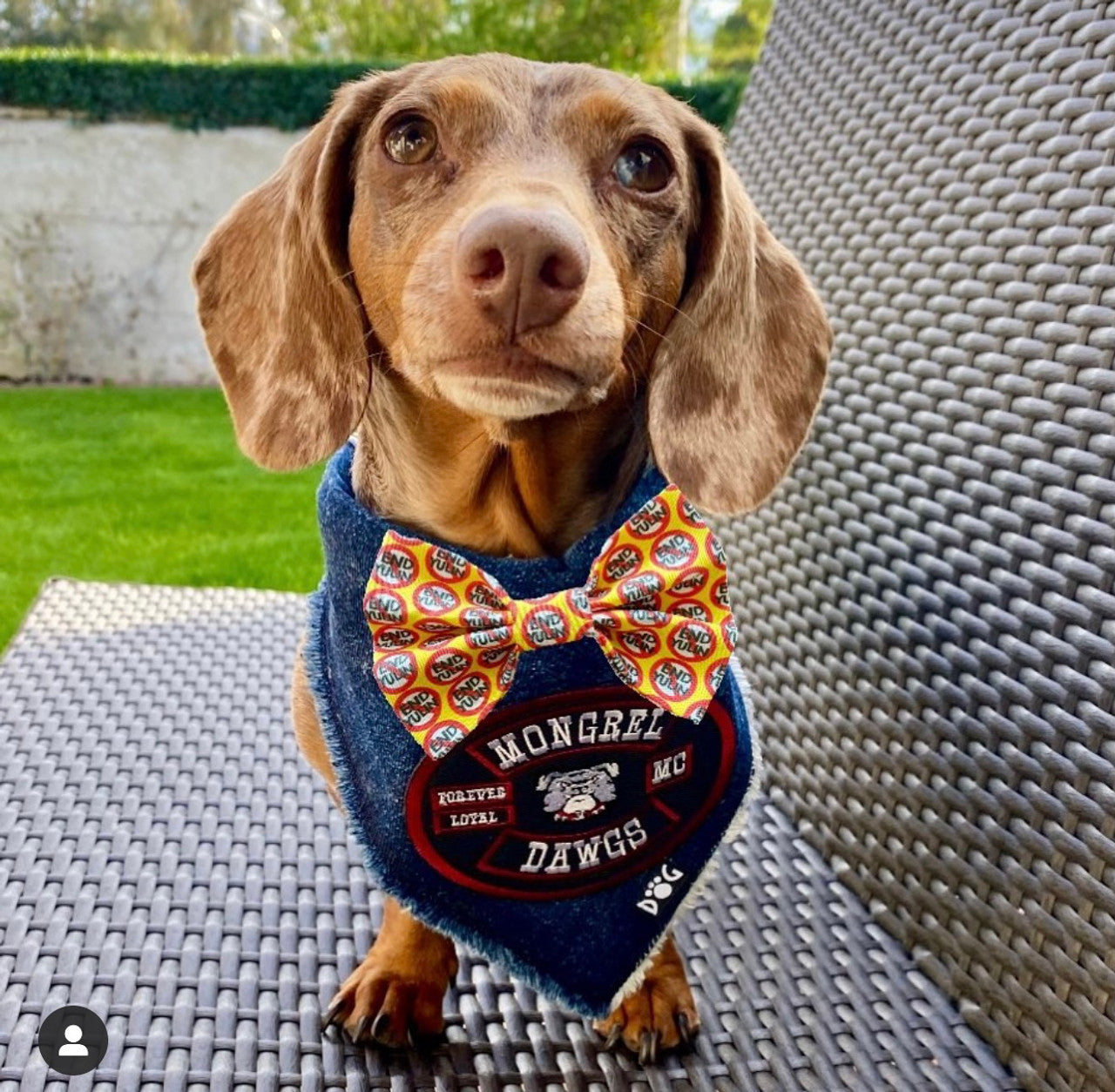 Mongrel Dawgs MC Logo Denim Bandanna