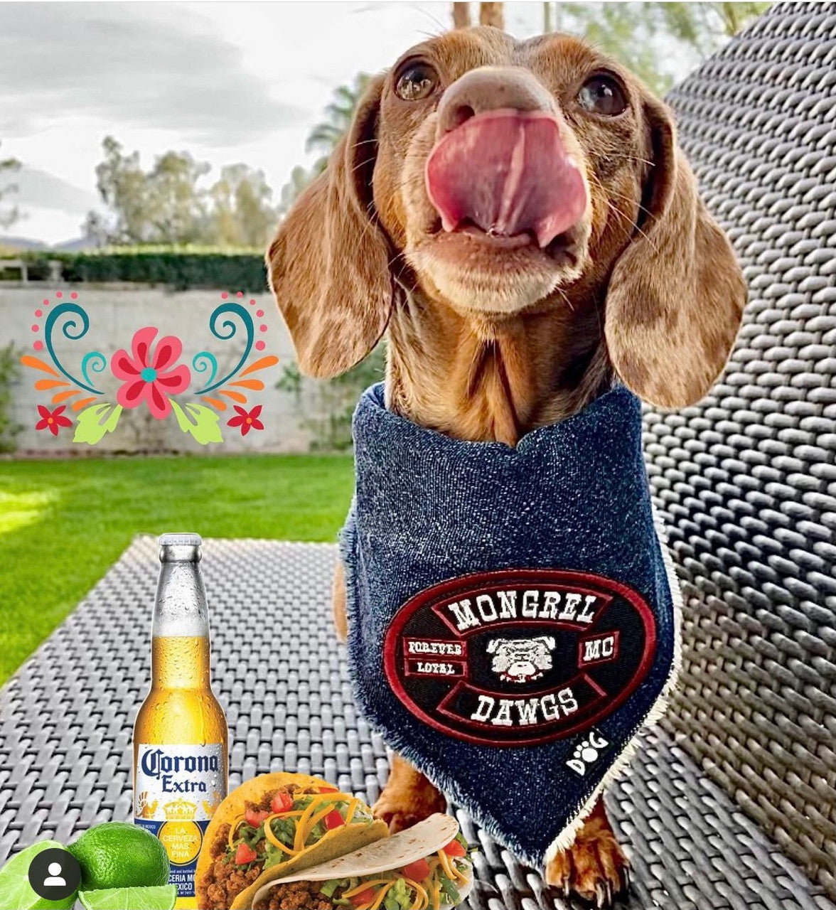 Mongrel Dawgs MC Logo Denim Bandanna