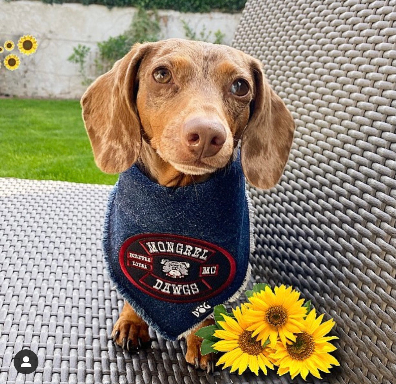 Mongrel Dawgs MC Logo Denim Bandanna
