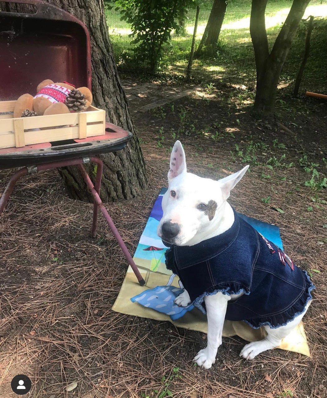 Mongrel Dawgs MC - Denim Jacket with Ruffles