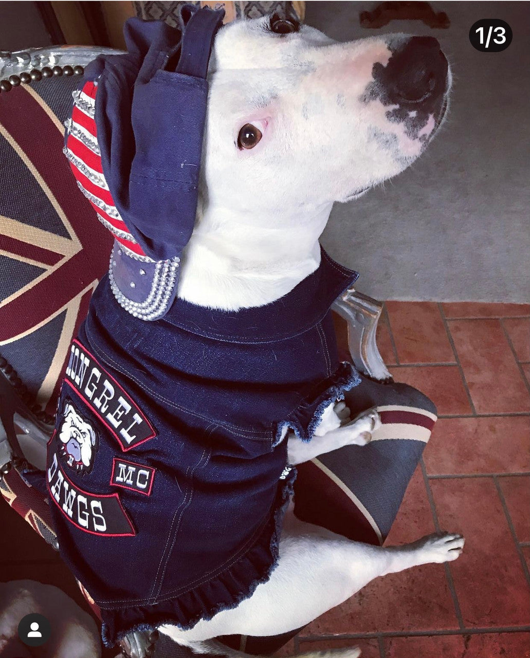 Mongrel Dawgs MC - Denim Jacket with Ruffles