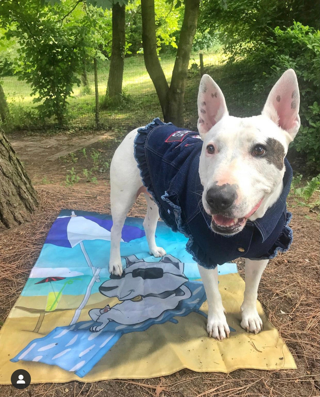 Mongrel Dawgs MC - Denim Jacket with Ruffles