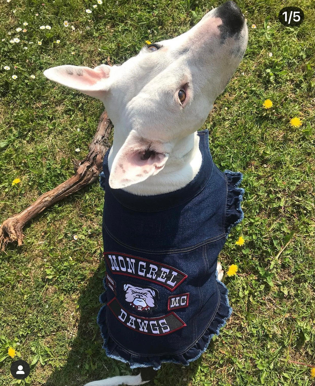 Mongrel Dawgs MC - Denim Jacket with Ruffles