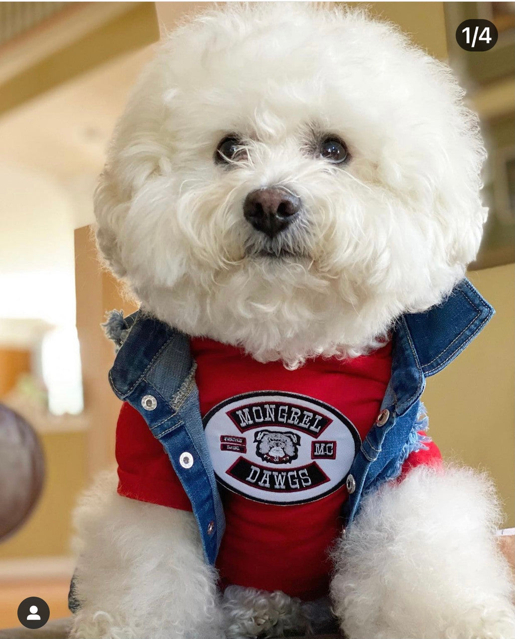 Mongrel Dawg Oval EMBROIDERY Patch - (4) WHITE