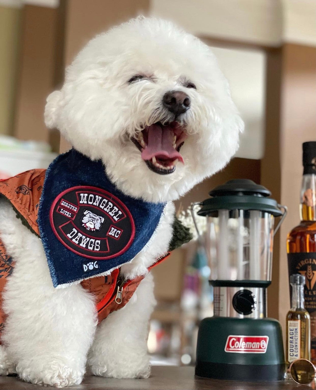 Mongrel Dawgs MC Logo Denim Bandanna