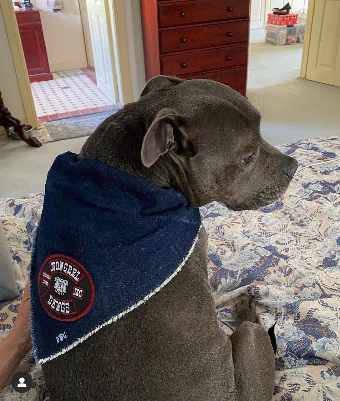 Mongrel Dawgs MC Logo Denim Bandanna