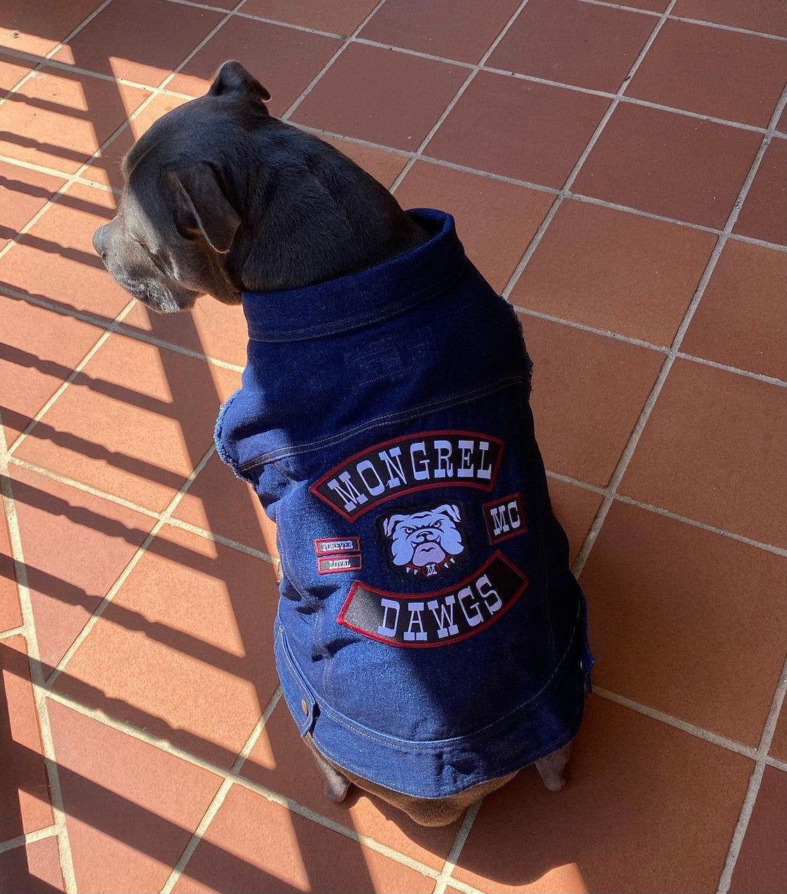 Mongrel Dawgs MC Denim Jacket