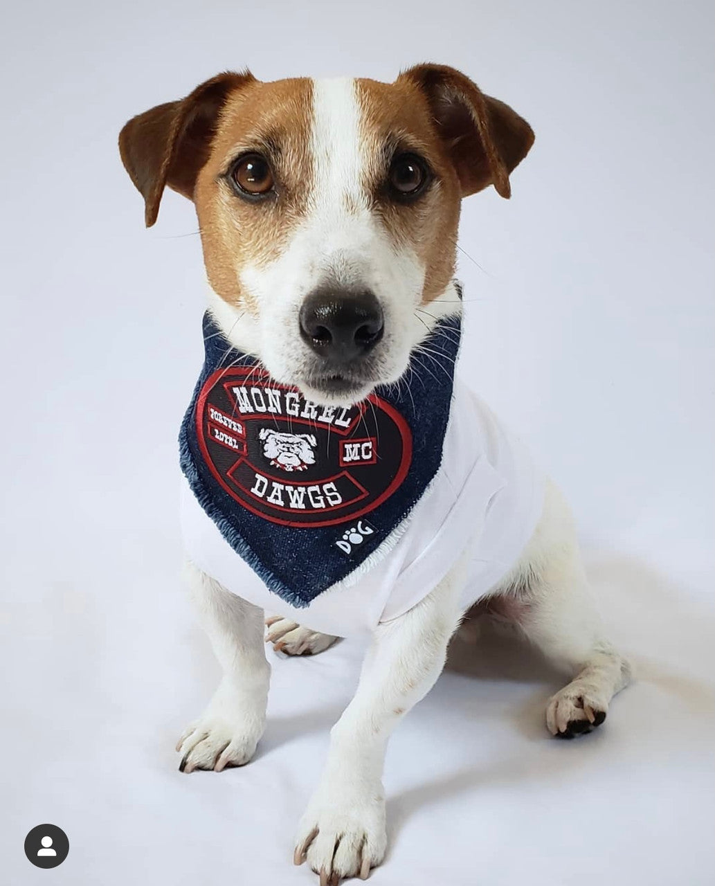 Mongrel Dawg Oval EMBROIDERY Patch (4) -BLACK