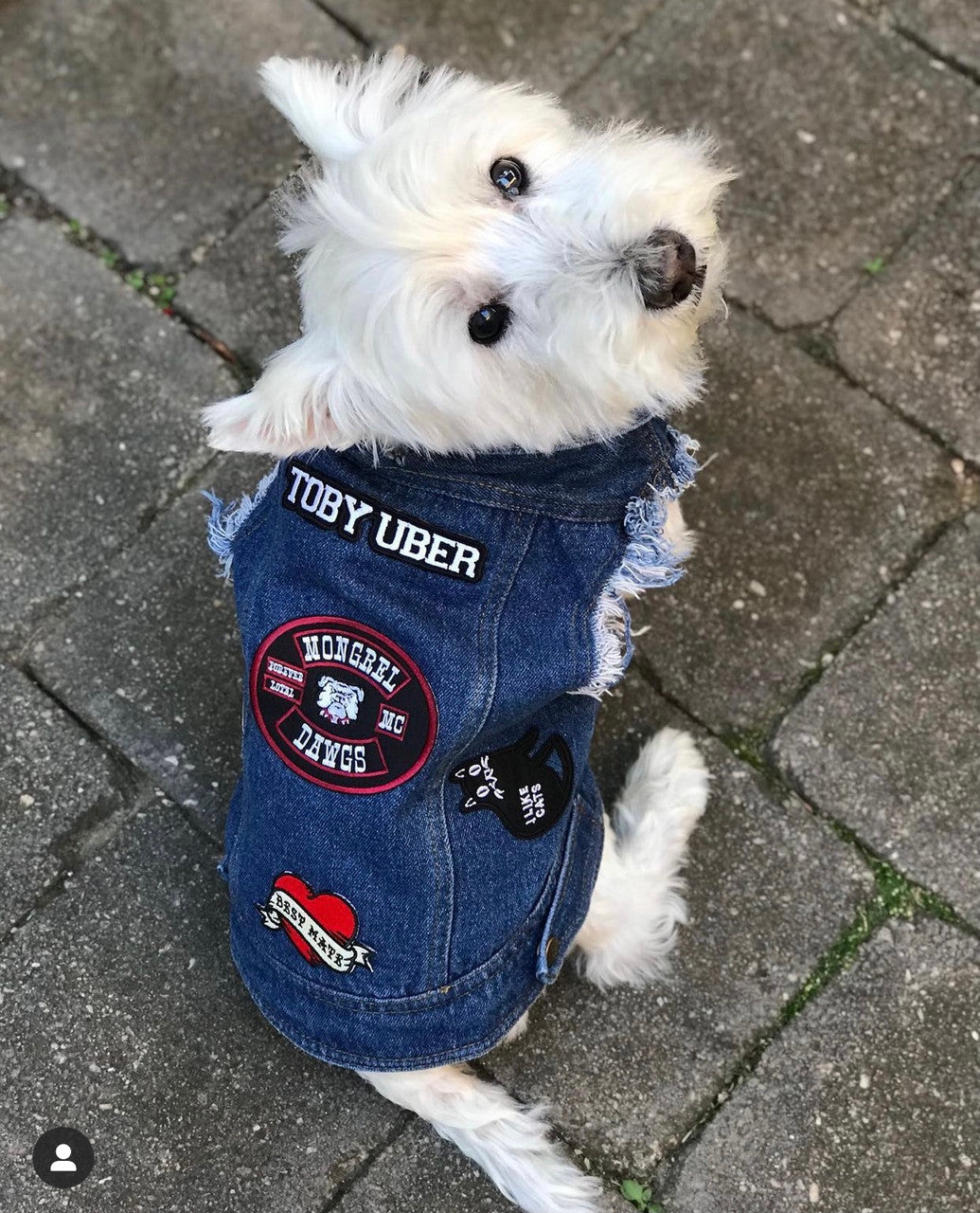 Mongrel Dawg Oval EMBROIDERY Patch (4) -BLACK