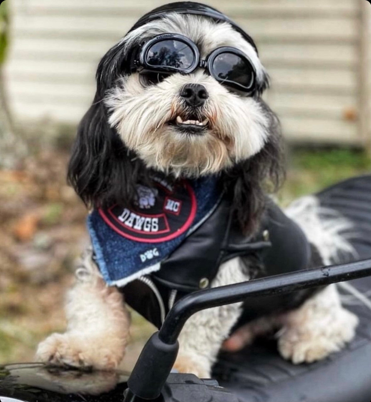 Mongrel Dawgs MC Logo (White) Denim Bandanna