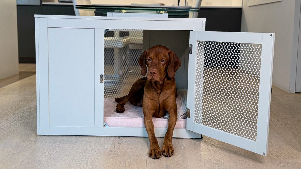 Bowsers Moderno and Fresco Dog Crate Mat - Supportive Crate and Travel Cushioning