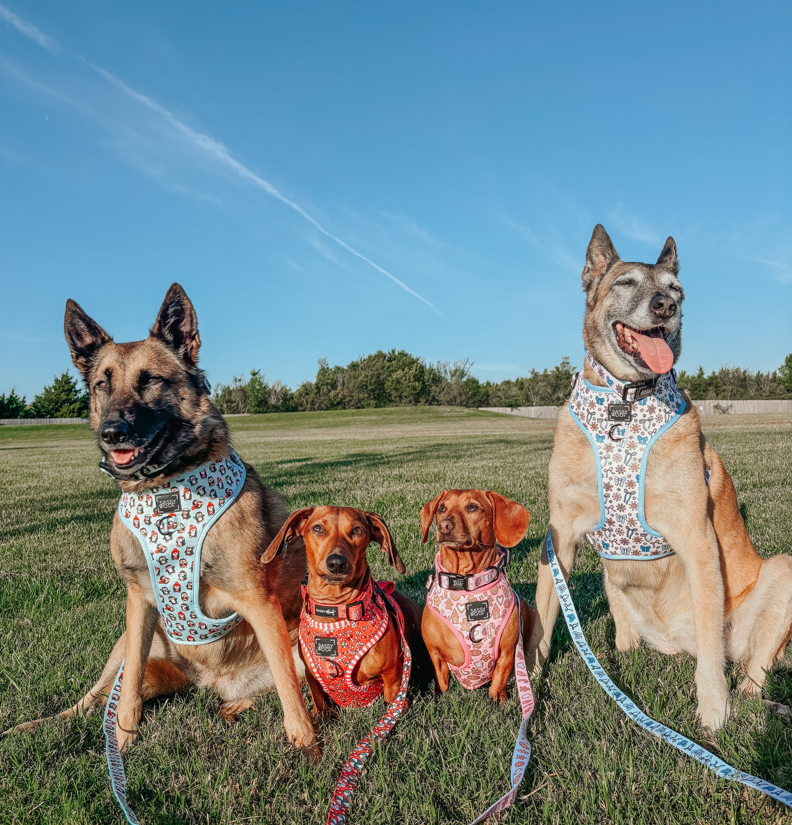 Dog Adjustable Harness - Let it Bow