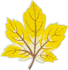 Fall Leaf Yellow - Patch