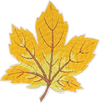 Fall Leaf Gold- Patch
