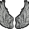 Silver Wings  - Patch