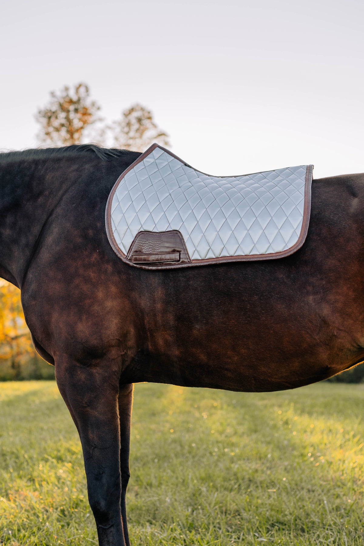 San Eligius chrome quilted jump saddle pad with brown crocodile piping
