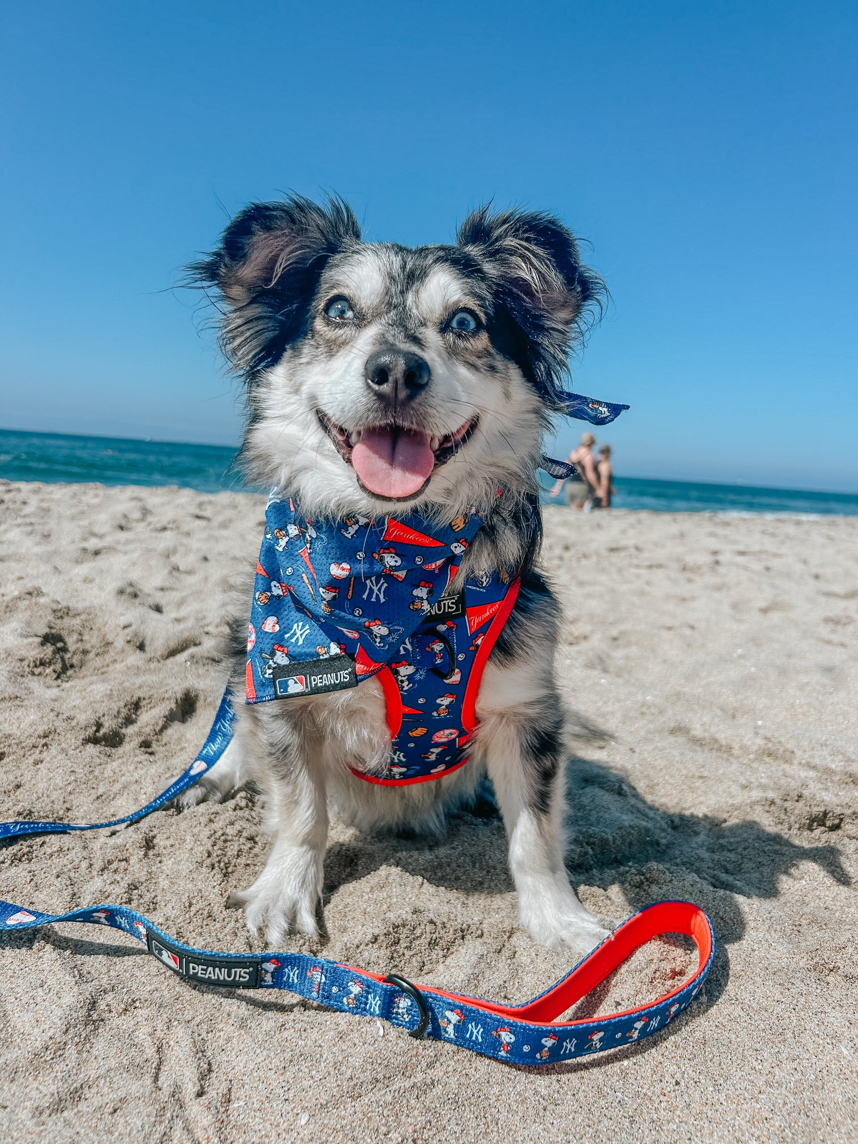Dog Adjustable Harness - MLB™ x Peanuts™ New York Yankees™