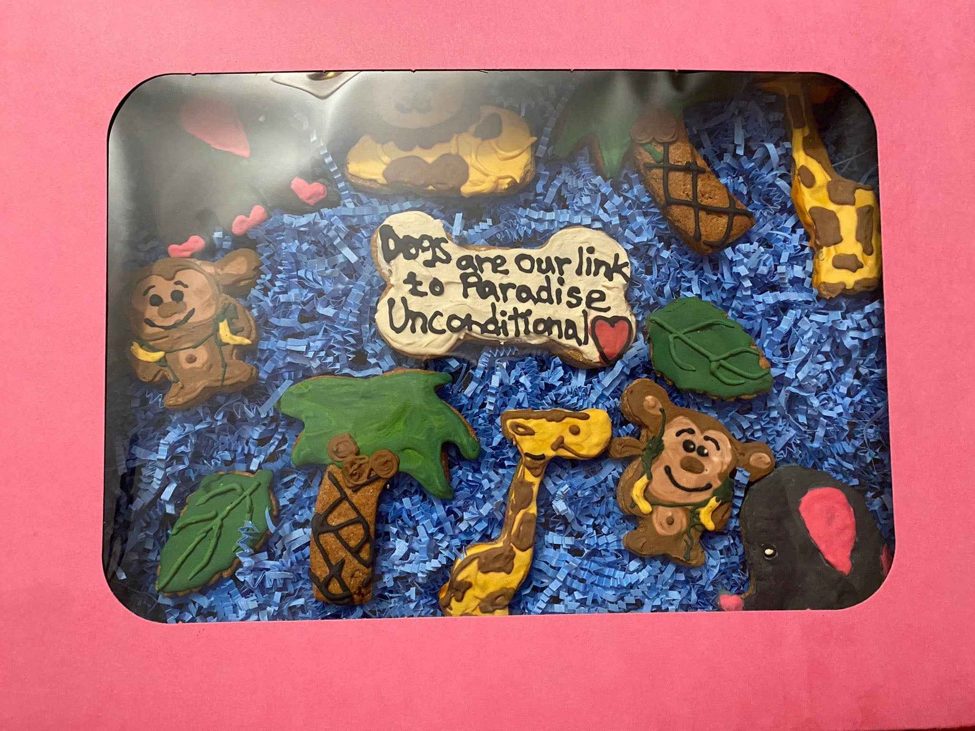 PAWsitively Organic Safari Dog Cookie Box