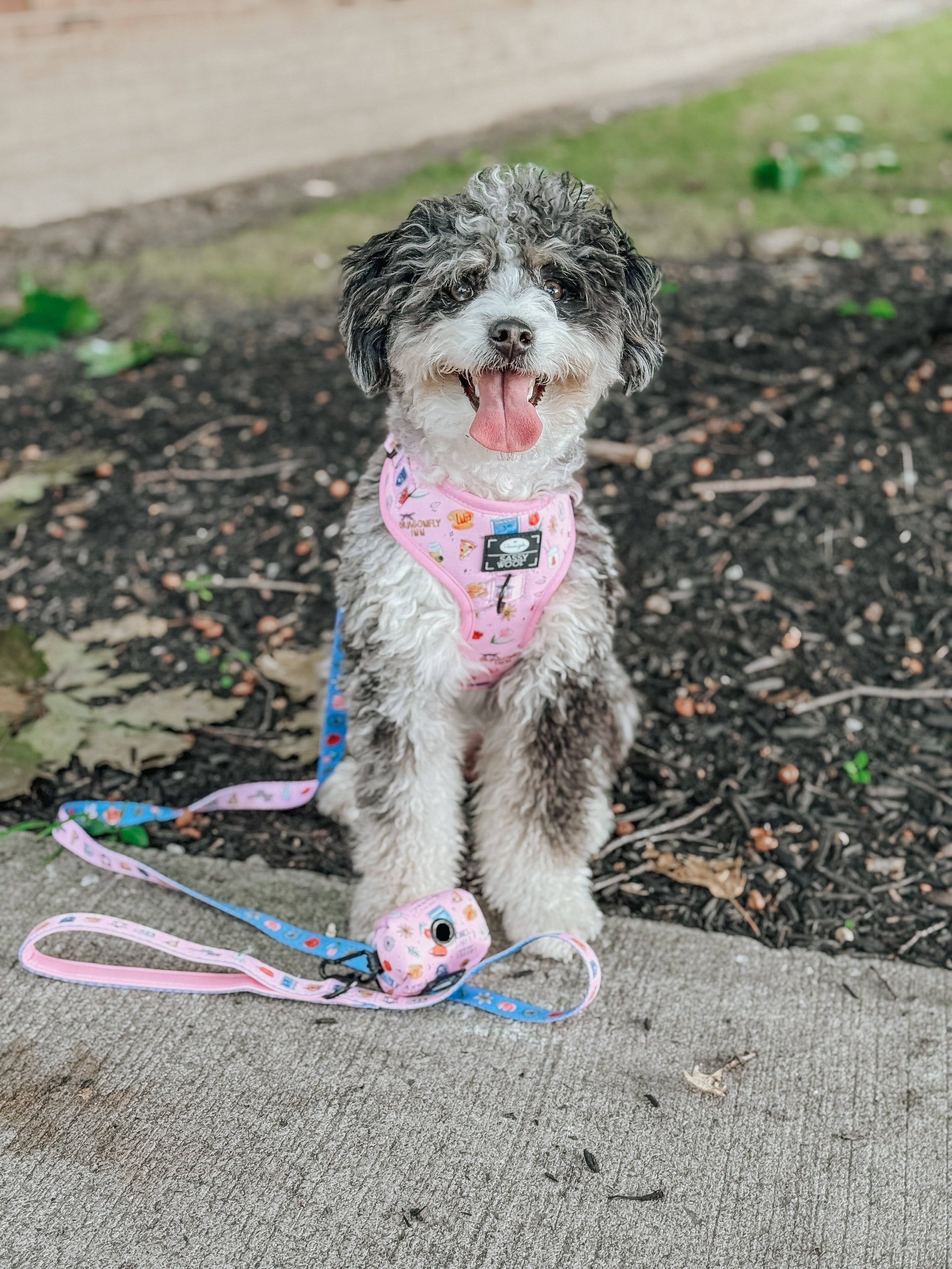 Dog Adjustable Harness - Gilmore Girls™
