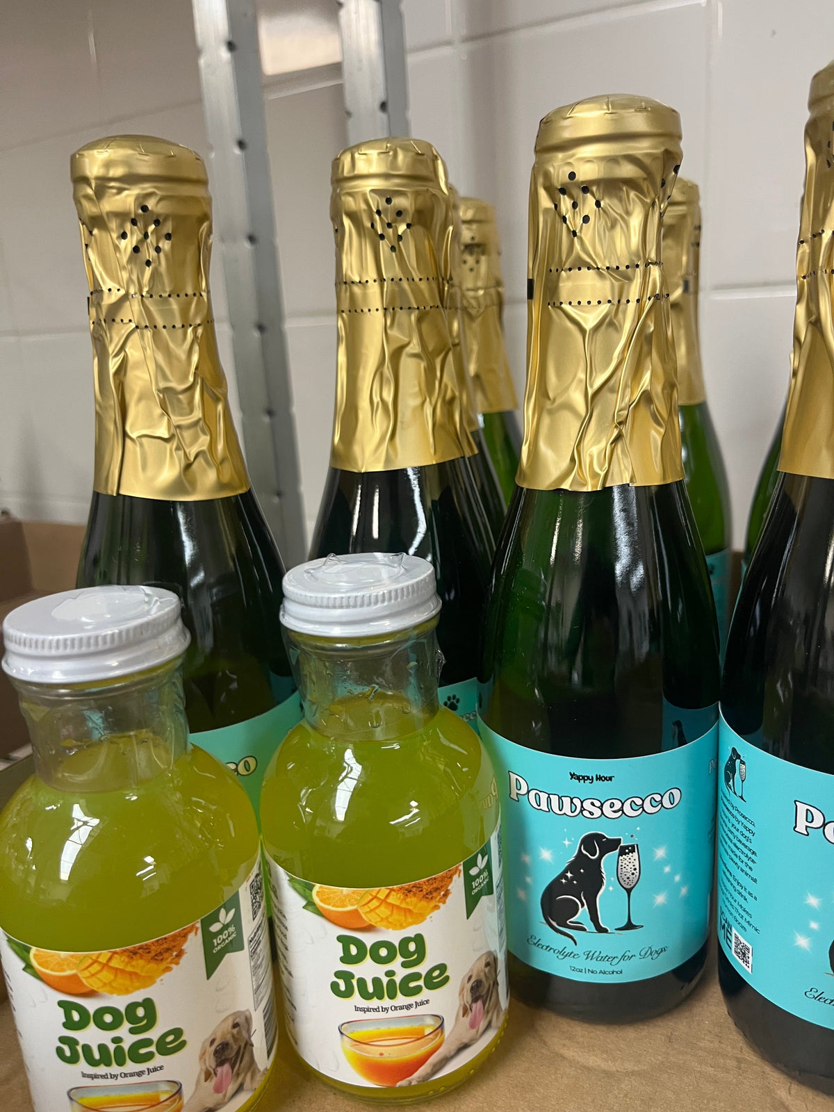 "Fur-Mosa" Mimosa Kit for Dogs
