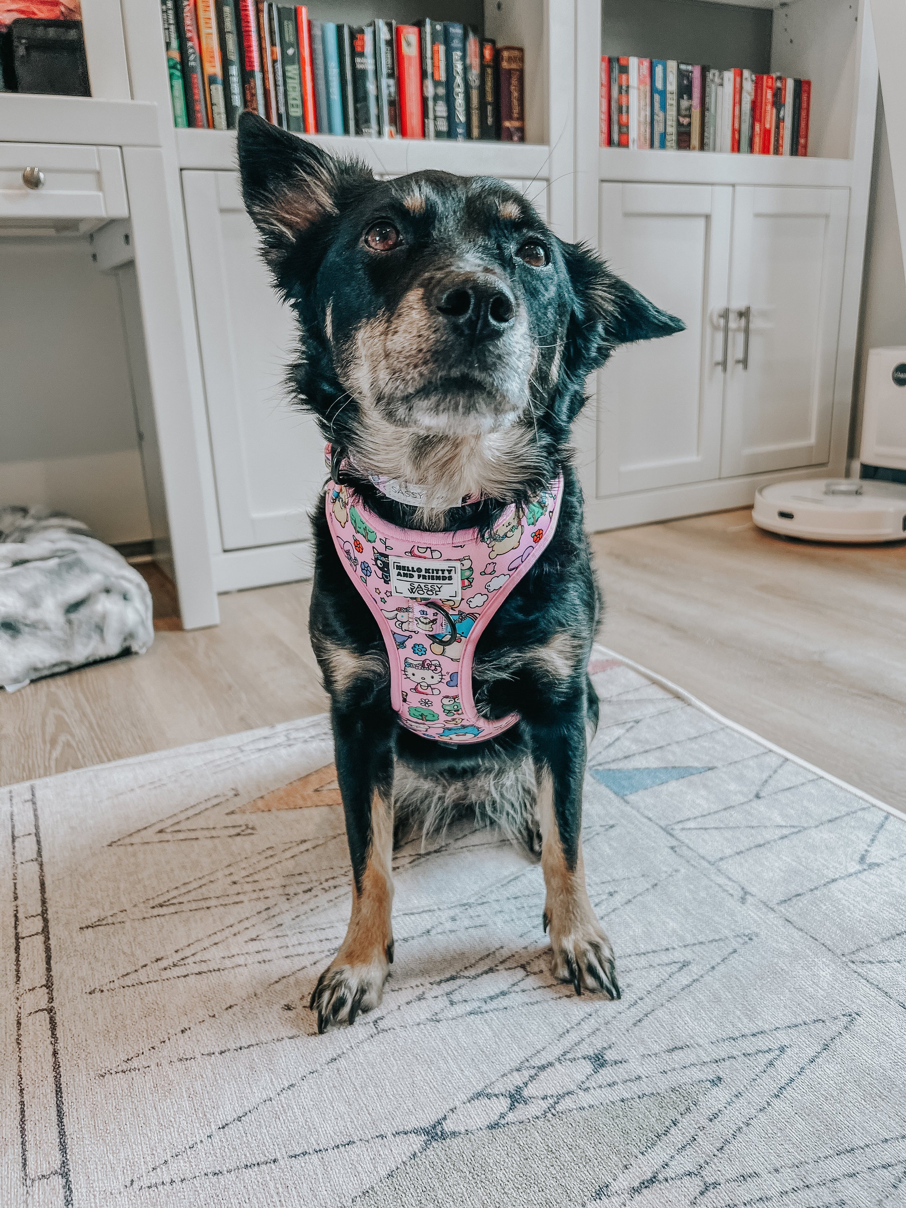 Dog Adjustable Harness - Hello Kitty® & Friends Flower Festival
