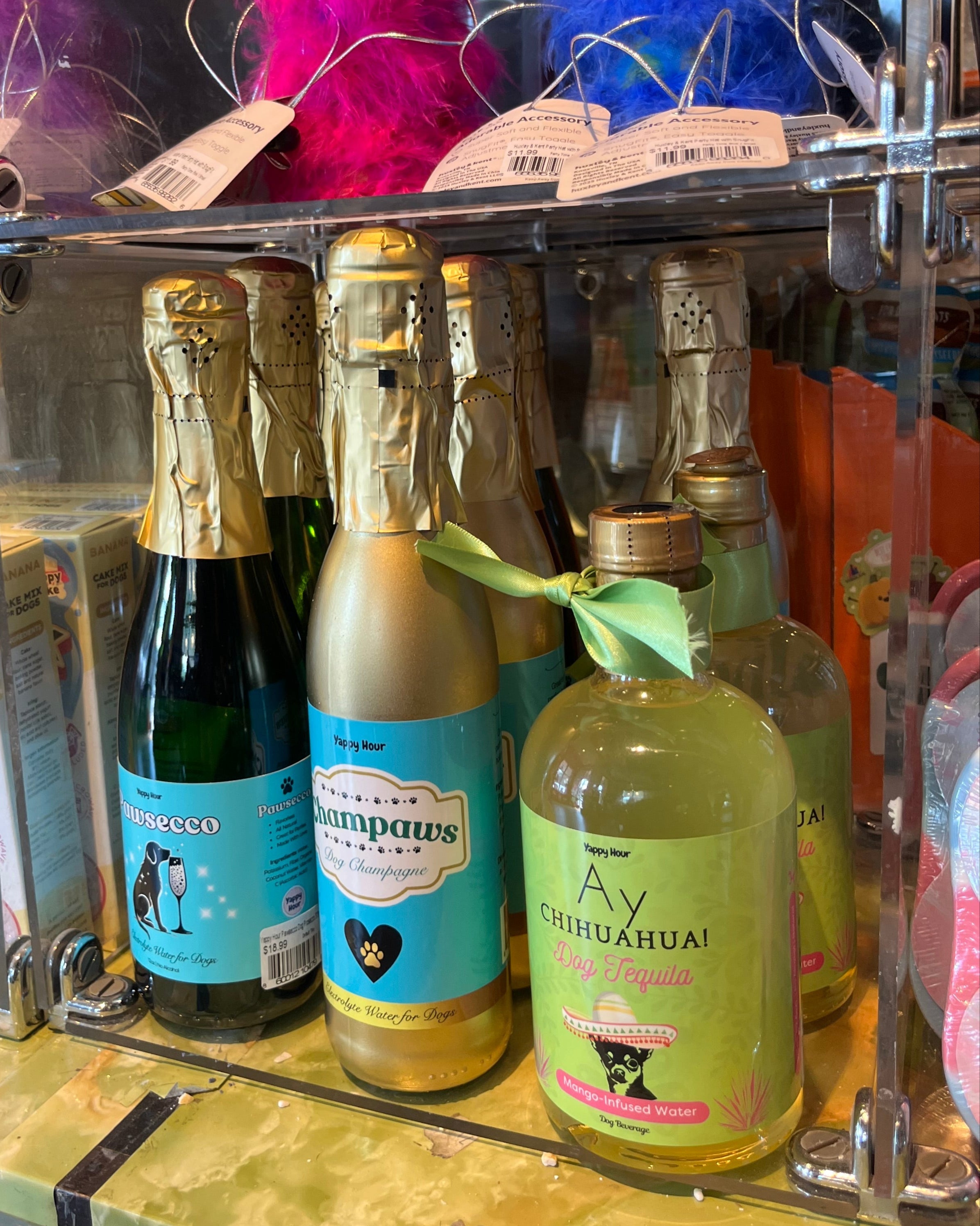 Champaws Dog Champagne