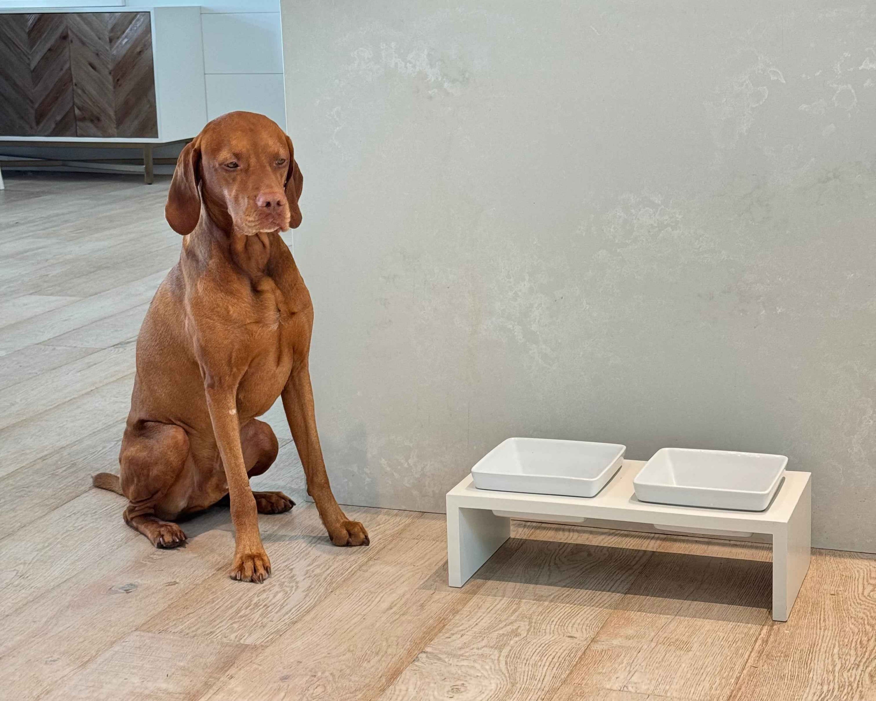 Bowsers Fresco Double Wood Dog Bowl Feeder – Elevated Designer Pet Dining